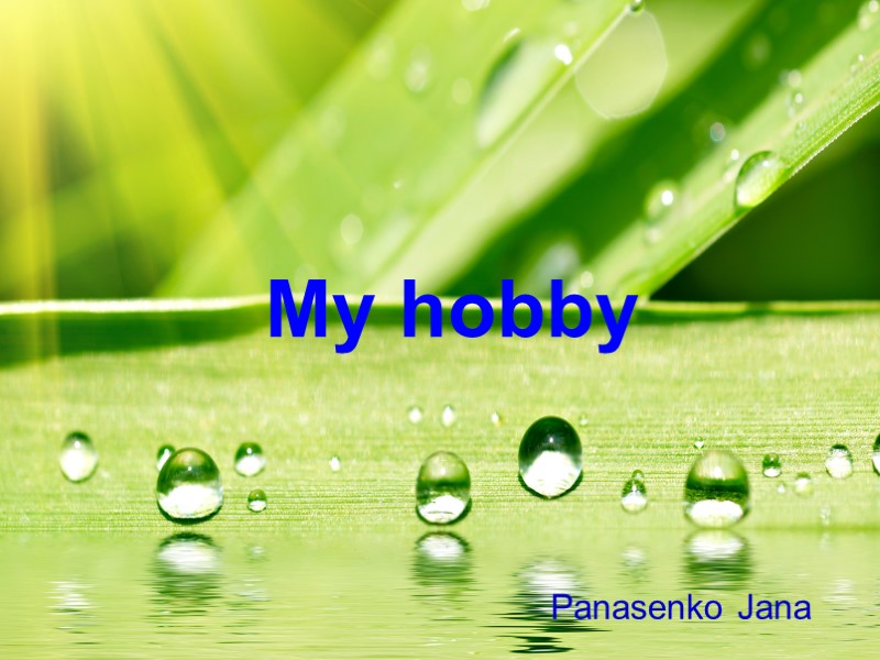 My hobby Panasenko Jana